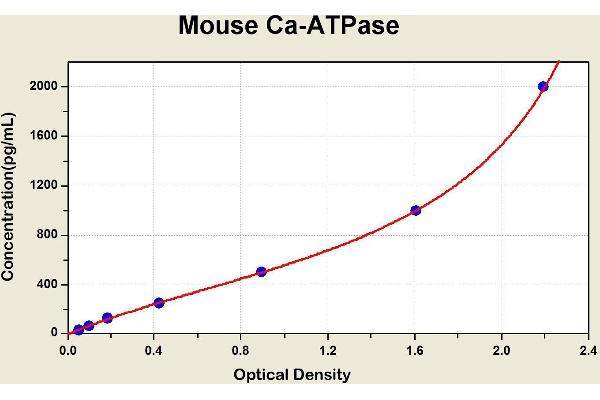 Calcium ATPase At 60A (CA-P60A) Kit ELISA