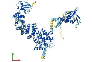 AlphaFold protein structure predicition of Mouse Recombinant Elmo3 Protein, UniprotID Q8BYZ7