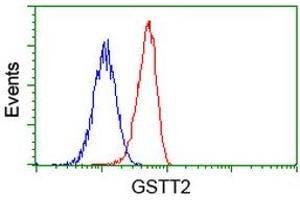 Image no. 3 for anti-Glutathione S-Transferase theta 2 (GSTT2) antibody (ABIN1498558)
