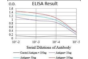 Black line: Control Antigen (100 ng), Purple line: Antigen(10 ng), Blue line: Antigen (50 ng), Red line: Antigen (100 ng), (TRF2 antibody  (AA 324-500))
