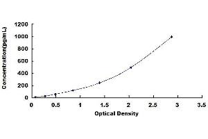 Typical standard curve (Nerve Growth Factor ELISA Kit)