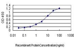 Detection limit for recombinant GST tagged HOXB1 is approximately 0. (HOXB1 antibody  (AA 1-74))