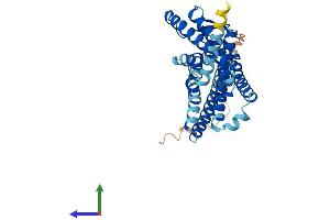 AlphaFold protein structure predicition of Human Recombinant OR4A15 Protein, UniprotID Q8NGL6 (OR4A15 Protein (AA 1-344) (His tag))