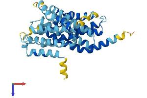 AlphaFold protein structure predicition of Mouse Recombinant Slc10a7 Protein, UniprotID Q5PT53 (SLC10A7 Protein (AA 1-340) (His tag))