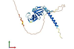 AlphaFold protein structure predicition of Human Recombinant OIP5 Protein, UniprotID O43482