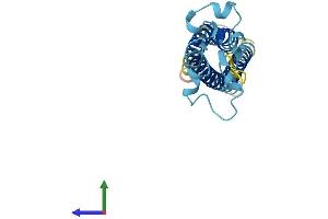AlphaFold protein structure predicition of Human Recombinant TM4SF19 Protein, UniprotID Q96DZ7