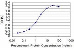 Detection limit for recombinant GST tagged T is approximately 0. (T Brachyury Protein (AA 222-320) antibody)