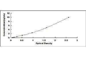 Typical standard curve (ARNT ELISA Kit)