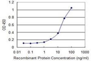 Detection limit for recombinant GST tagged DBF4B is 1 ng/ml as a capture antibody. (DBF4B/DRF1 antibody  (AA 201-299))