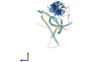 AlphaFold protein structure predicition of Human Recombinant CFAP57 Protein, UniprotID Q96MR6 (WDR65 Protein (AA 1-1250) (His tag))