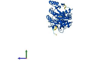 AlphaFold protein structure predicition of Mouse Recombinant B3galt5 Protein, UniprotID Q9JI67