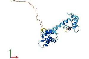 AlphaFold protein structure predicition of Human Recombinant CALML6 Protein, UniprotID Q8TD86 (CALML6 Protein (AA 1-181) (His tag))