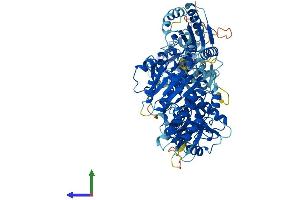 AlphaFold protein structure predicition of Human Recombinant SLFN11 Protein, UniprotID Q7Z7L1