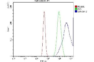 Flow Cytometry analysis of A431 cells using anti-KMT1B/SUV39H2 antibody (ABIN7602135). (SUV39H2 antibody  (AA 6-410))
