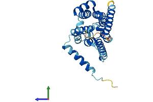 Protein Structure (PS) image for Nurim (Nuclear Envelope Membrane Protein) (NRM) (AA 1-262) protein (His tag) (ABIN7559800)