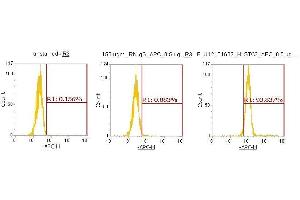 Flow Cytometry (FACS) image for anti-Stanniocalcin 2 (STC2) (AA 25-302) antibody (APC) (ABIN5566189) (Stanniocalcin 2 antibody  (AA 25-302) (APC))