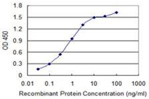 Detection limit for recombinant GST tagged MRLC2 is 0. (MYL12B antibody  (AA 73-172))
