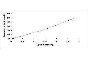 Typical standard curve (alpha Actinin 4 ELISA Kit)