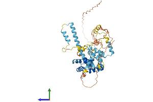 AlphaFold protein structure predicition of Human Recombinant EFCAB3 Protein, UniprotID Q8N7B9