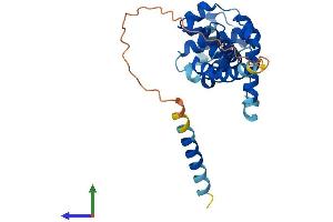AlphaFold protein structure predicition of Mouse Recombinant Orc6 Protein, UniprotID Q9WUJ8 (ORC6 Protein (AA 1-262) (His tag))