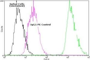Flow cytometry analysis of 106 Jurkat cells stained using HSP70/HSC70 mAb (N27F34), R-Phycoerythrin Conjugate at a concentration of 10 μg/mL (Hsc70 antibody  (PE))