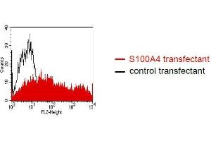 FACS analysis of BOSC23 cells using NJ-4F3. (s100a4 antibody)