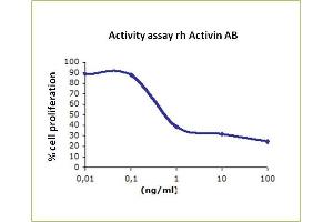 The biological activity of Activin AB is measured by its ability to inhibit mouse plasmacytoma cell line (MPC-11 cells) cells proliferation. (Activin AB Protein (ACVAB))
