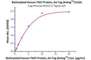 Immobilized Human CD113, Fc Tag (Cat# PV3-H5255) at 10 μg/mL (100 μL/well) can bind Biotinylated Human TIGIT, His Tag  with a linear range of 0.