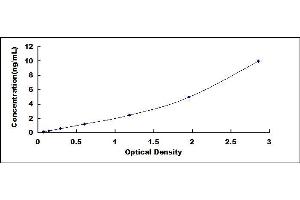 Typical standard curve (DARC ELISA Kit)