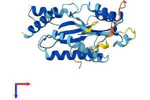 AlphaFold protein structure predicition of Mouse Recombinant Rwdd2b Protein, UniprotID Q99M03 (RWDD2B Protein (AA 1-290) (His tag))