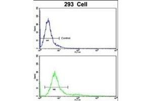 Flow cytometric analysis of 293 cells using RAB13 Antibody (Center)(bottom histogram) compared to a negative control cell (top histogram). (RAB13 antibody  (AA 109-137))