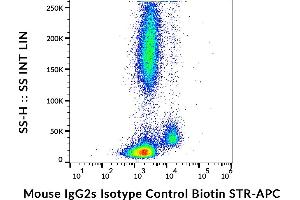 Example of nonspecific mouse IgG2a (MOPC-173) biotin signal on human peripheral blood, surface staining, 3 μg/mL. (Mouse IgG2a isotype control (Biotin))