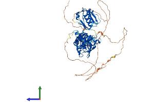 AlphaFold protein structure predicition of Human Recombinant SCMH1 Protein, UniprotID Q96GD3