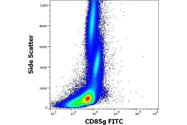 LILRA4 antibody  (FITC)