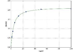 A typical standard curve