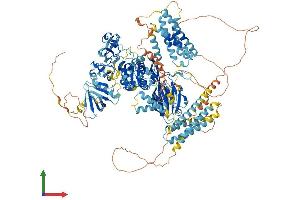 AlphaFold protein structure predicition of Human Recombinant DGKD Protein, UniprotID Q16760