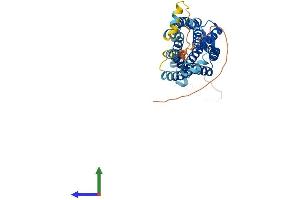 AlphaFold protein structure predicition of Human Recombinant CCR2 Protein, UniprotID P41597 (CCR2 Protein (AA 1-374) (His tag))