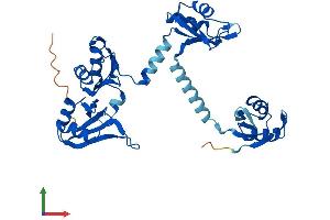 AlphaFold protein structure predicition of Human Recombinant PABPC5 Protein, UniprotID Q96DU9 (PABPC5 Protein (AA 1-382) (His tag))