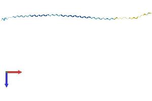 AlphaFold protein structure predicition of Mouse Recombinant Sprr2h Protein, UniprotID O70559 (SPRR2H Protein (AA 1-108) (His tag))