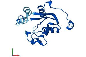 AlphaFold protein structure predicition of Human Recombinant NME2P1 Protein, UniprotID O60361 (NME2P1 Protein (AA 1-137) (His tag))