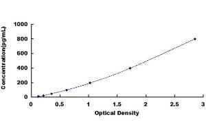 Typical Standard Curve (BPI ELISA Kit)