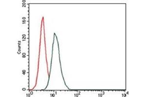 Flow Cytometry (FACS) image for anti-Hyaluronan Synthase 3 (HAS3) antibody (ABIN1107625) (HAS3 antibody)