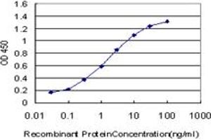 Detection limit for recombinant GST tagged TCF7L2 is approximately 0. (TCF7L2 antibody  (AA 490-596))