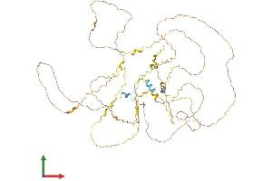 Protein Structure (PS) image for Breast Carcinoma Amplified Sequence 1 (BCAS1) (AA 1-633) protein (His tag) (ABIN7558438)