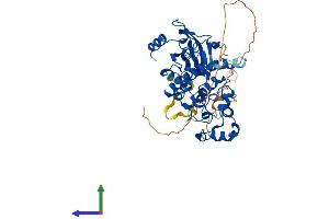AlphaFold protein structure predicition of Human Recombinant CDK8 Protein, UniprotID P49336 (CDK8 Protein (AA 1-464) (His tag))