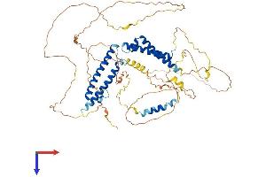 Family with Sequence Similarity 13, Member C (FAM13C) (AA 1-601) protein (His tag)