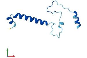 AlphaFold protein structure predicition of Mouse Recombinant Nmes1 Protein, UniprotID Q810Q5