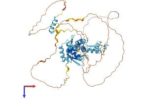 AlphaFold protein structure predicition of Human Recombinant ZBTB45 Protein, UniprotID Q96K62