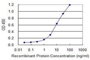 Detection limit for recombinant GST tagged MGEA5 is 0. (MGEA5 antibody  (AA 823-916))