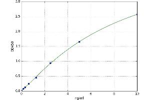 A typical standard curve
